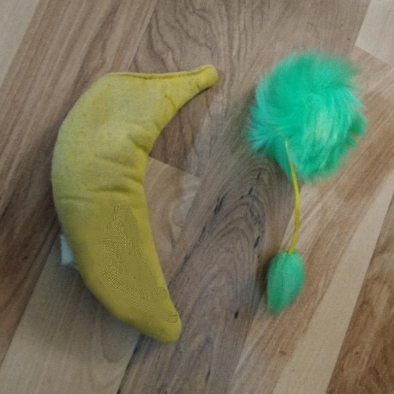 catnip banana for scale :)