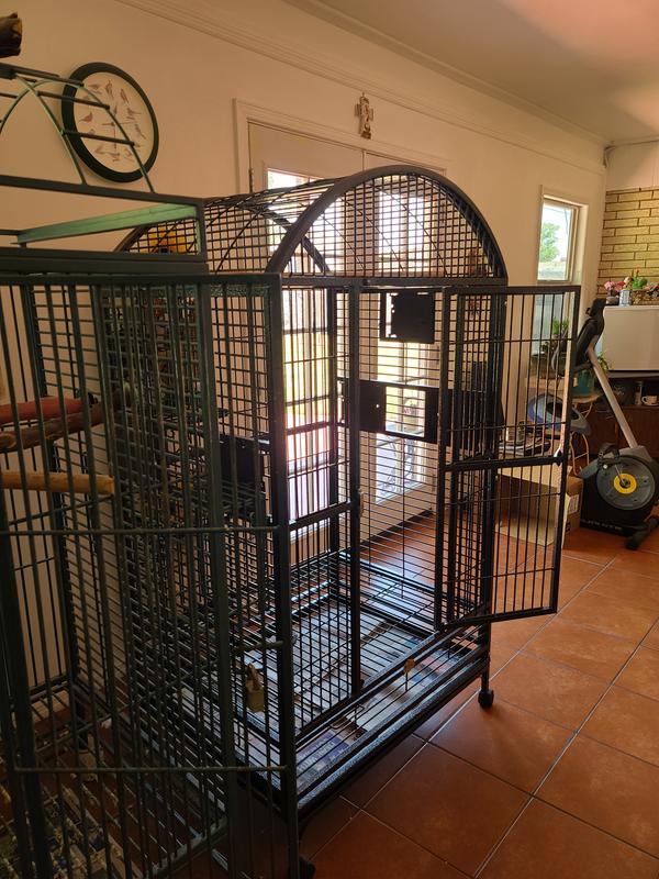 Large bird hotsell cages for sale