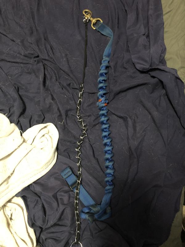 Good2Go Comfort Chain Dog Collar, Black, Medium Petco