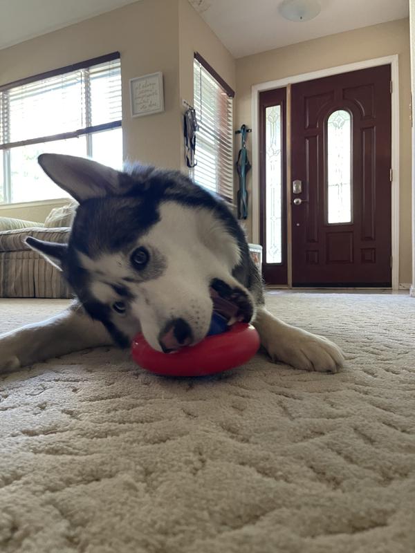 KONG Gyro Dog Treat Dispenser Toy