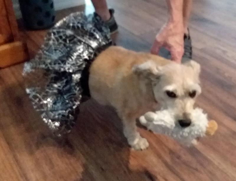 she was petrified that we were after her toy...