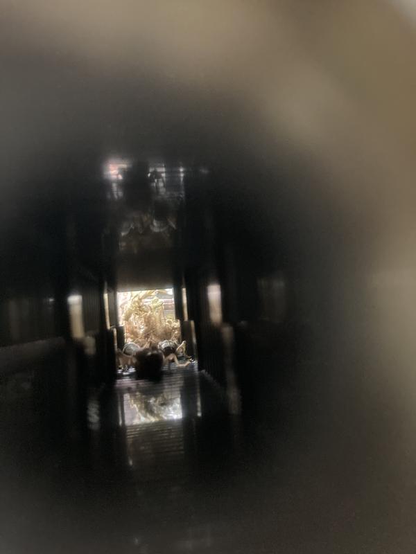 View into the removable tube