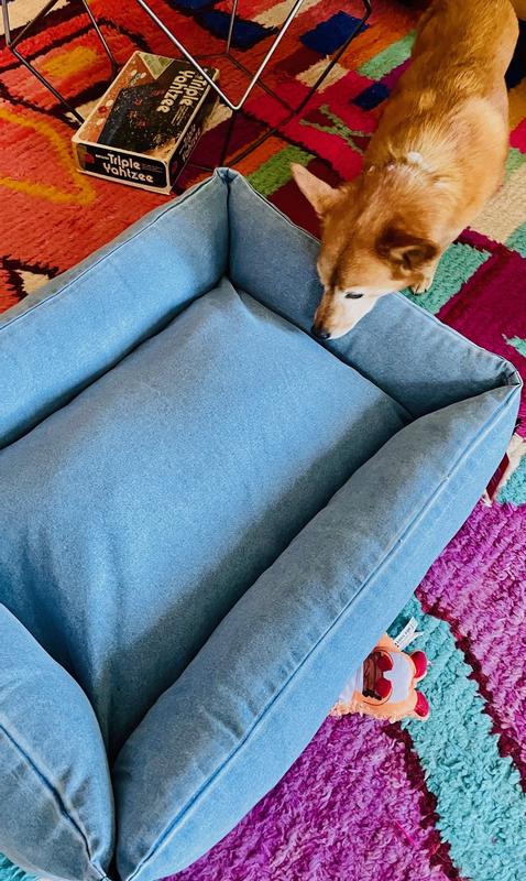 investigating the new bed!