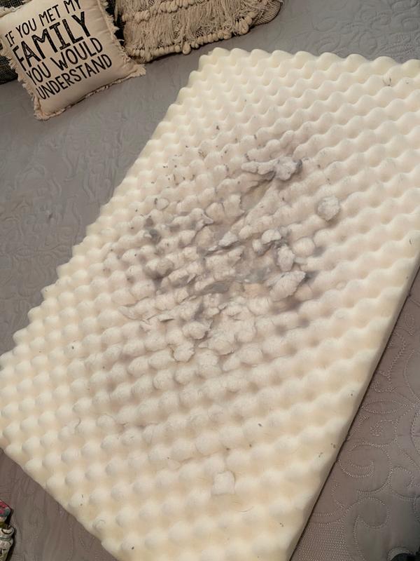 you & me orthopedic and memory foam mat