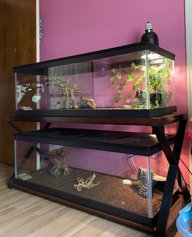 60 Gallons Fish Tanks And Aquariums 