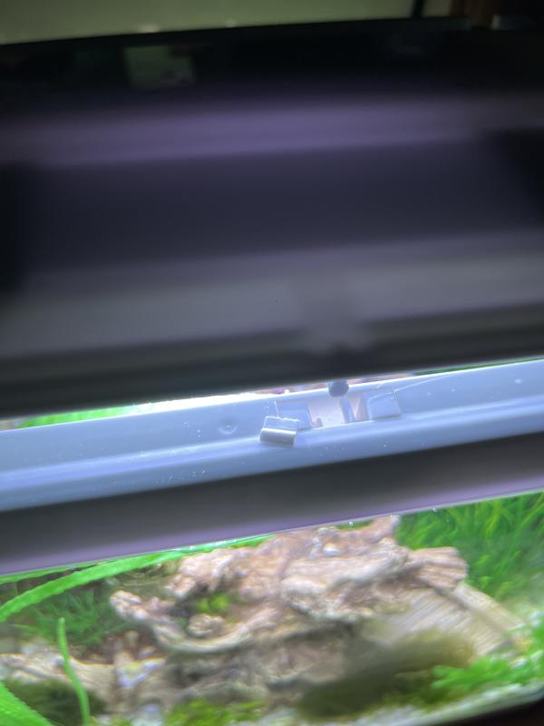 The lid grasp is super tiny/not built to last