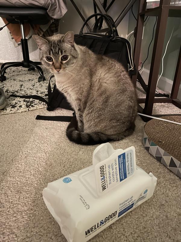 Cat deodorizing outlet wipes