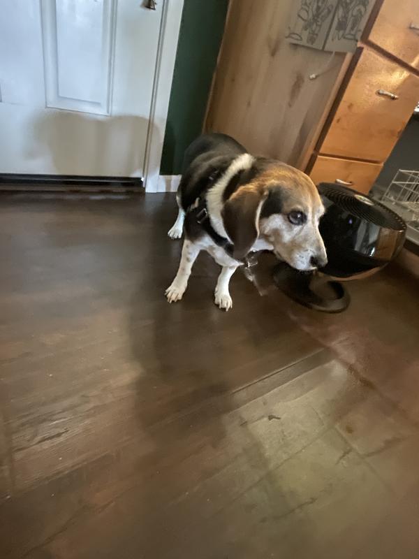 Easy walk harness, anti pull harness