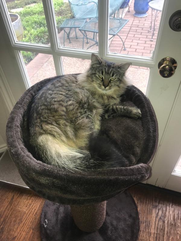 Trixie pepino scratching clearance post