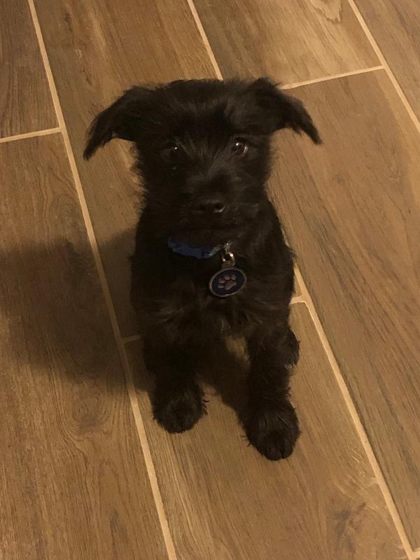 Waiting for my treat!