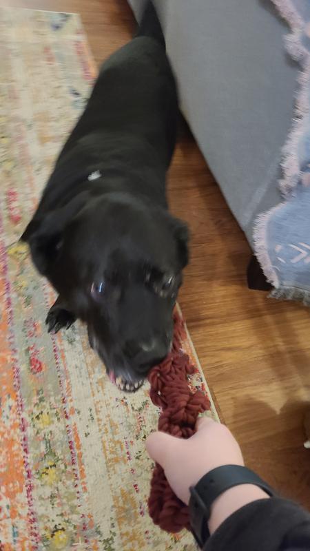 Enthusiasm at it's finest.