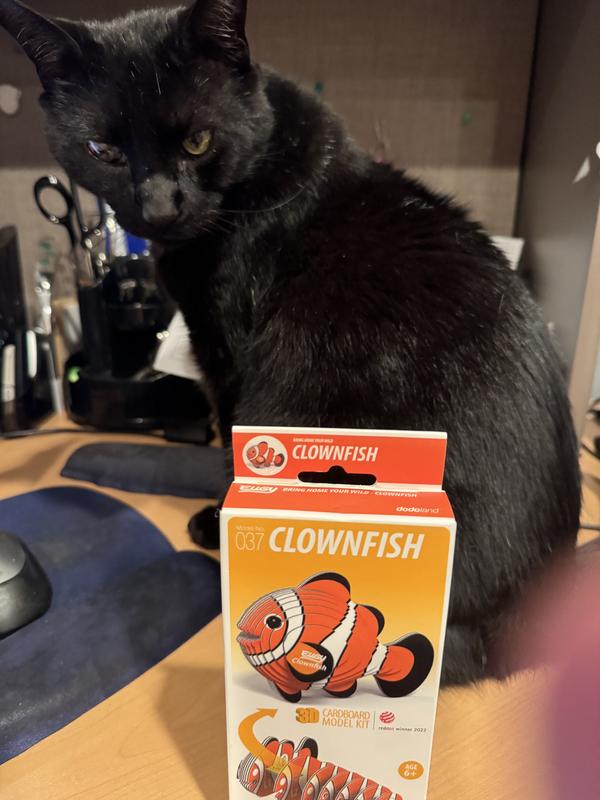 My cat likes this puzzle.