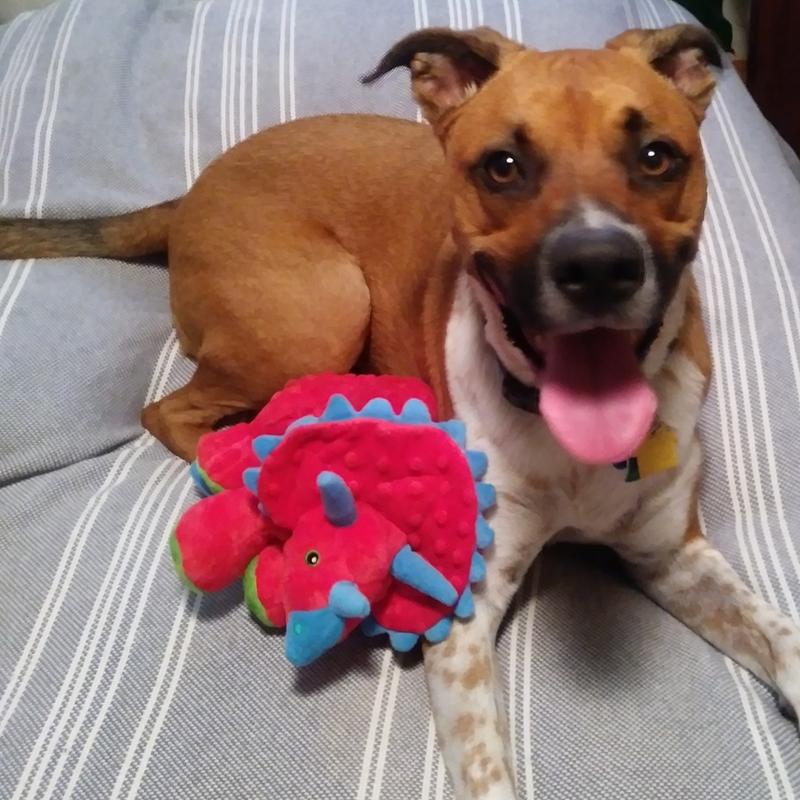 Him with his toy