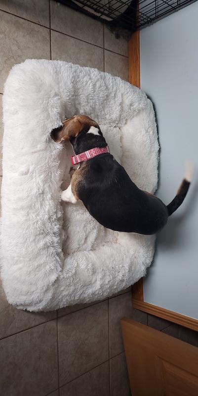 Pet shoppe outlet dog bed