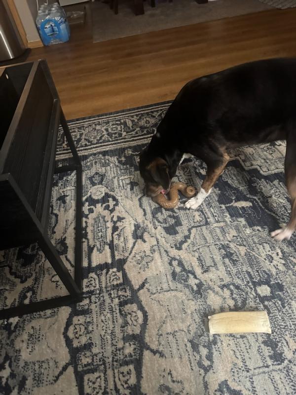 Our boy enjoying the indestructible tube toy