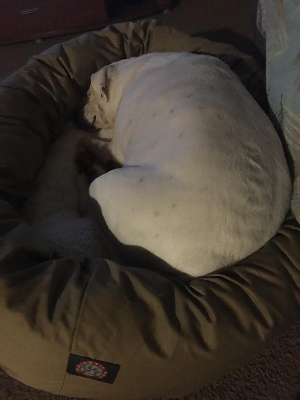 Loves her bed