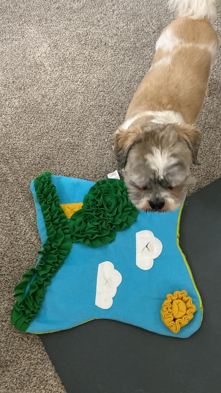 Wooly Snuffle Mat – Fun Time Dog Shop