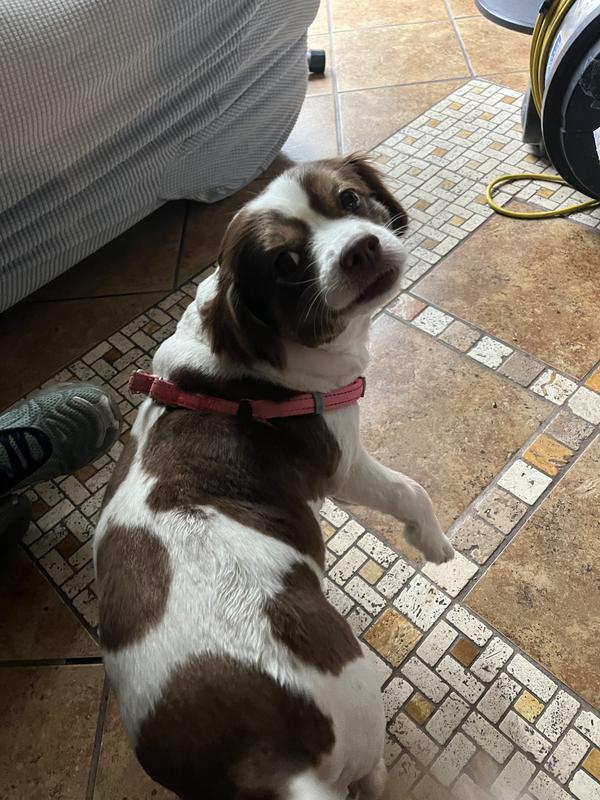 After we groomed her