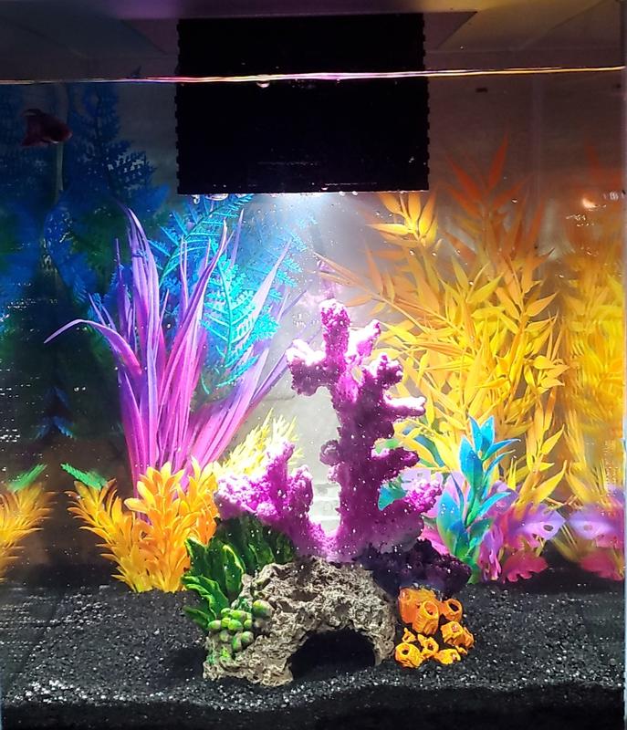 Mermaid Beta Tank
