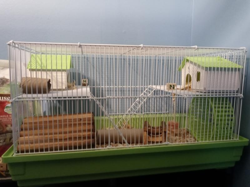 Prevue pet products deluxe hamster outlet habitat