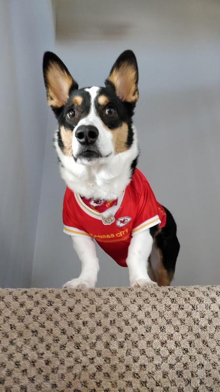 Pets First NFL Dog Jersey - Kansas City Chiefs – Doggy Daddy