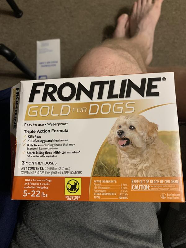 Frontline gold for small dogs hotsell