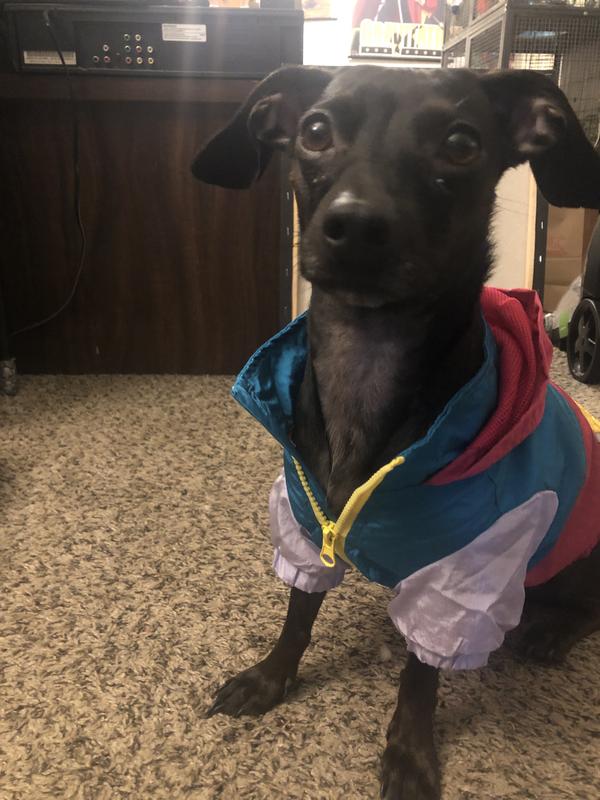 Photo - commentaire 3.