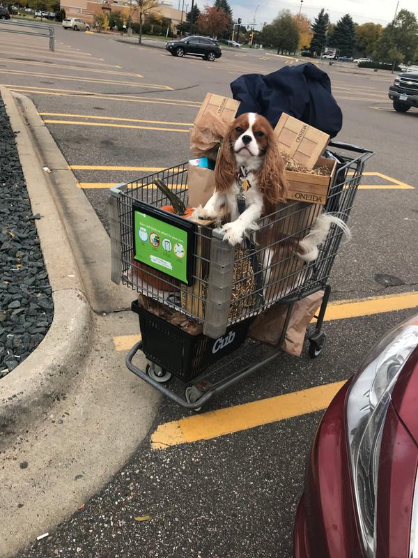 I’m s good shopper!
