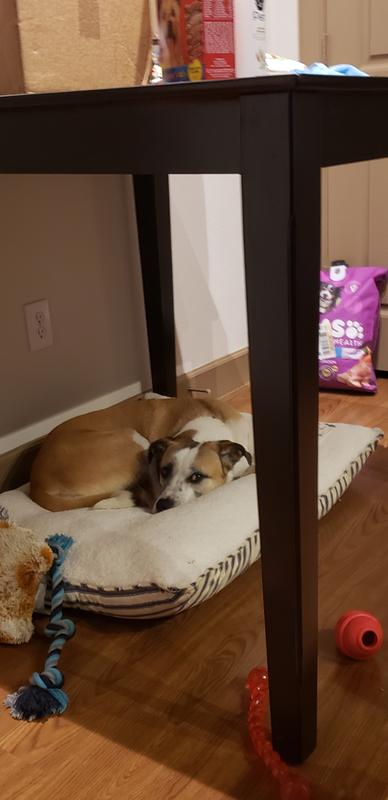 Photo - commentaire&nbsp;1.