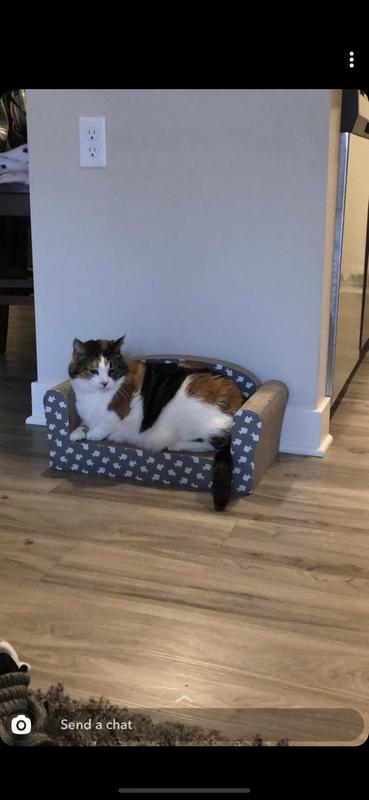 You Me Couch Cardboard Cat Scratcher 11 Petco
