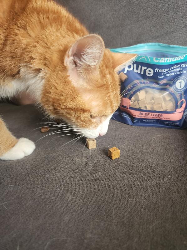 Canidae cat food outlet petco