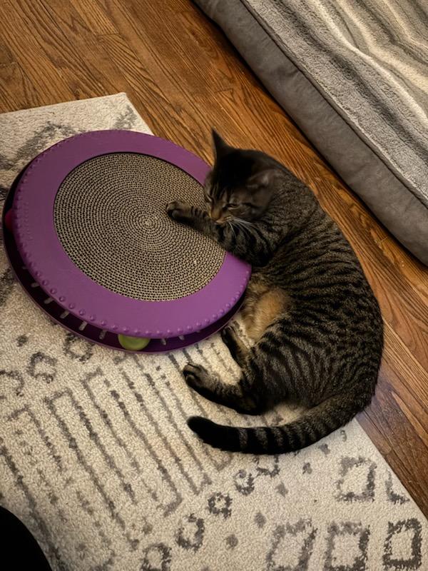 She wore heeself out with this toy!