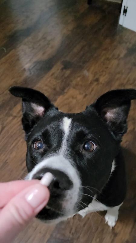 Whats that you've got?!