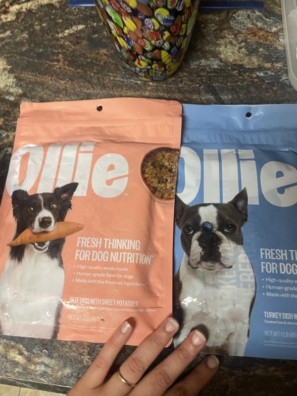 Ollie Fresh Turkey Dish with Blueberries Fresh Frozen Dog Food 5