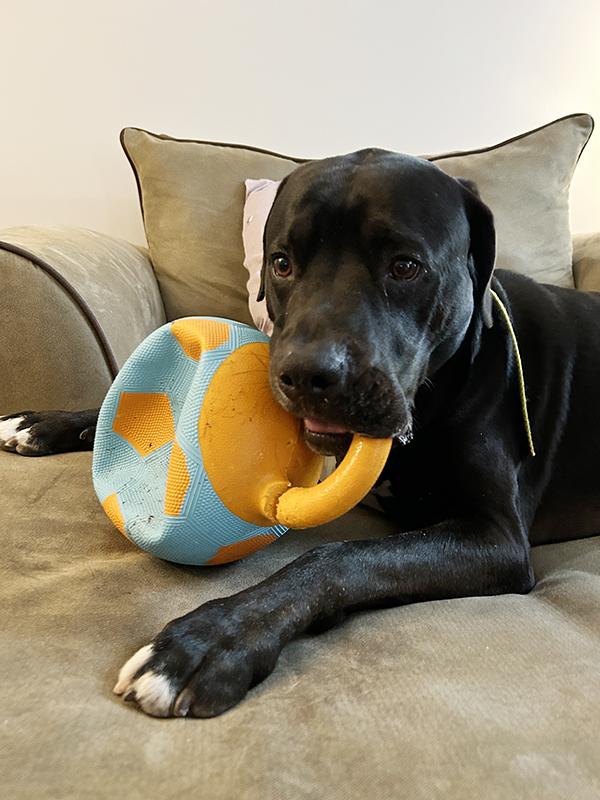 Even punctured, it's a great toy!