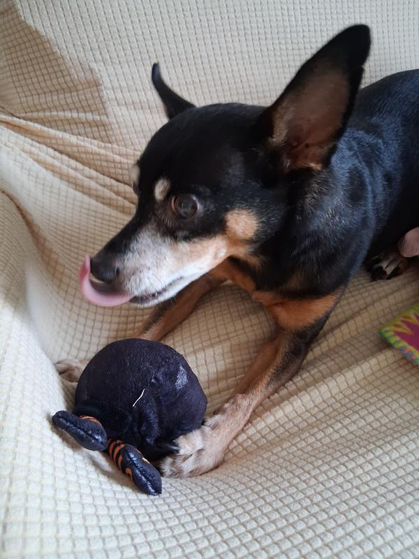 Licking his chops over it