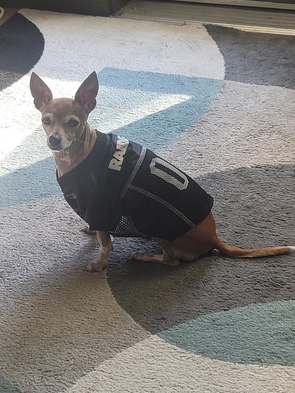 Puppy raiders jersey best sale