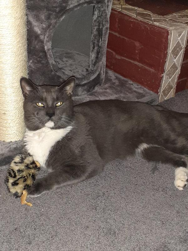 Photo - commentaire&nbsp;1.