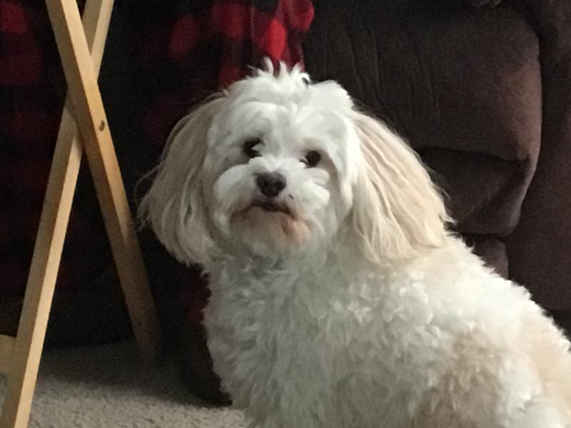 I can see his eyes