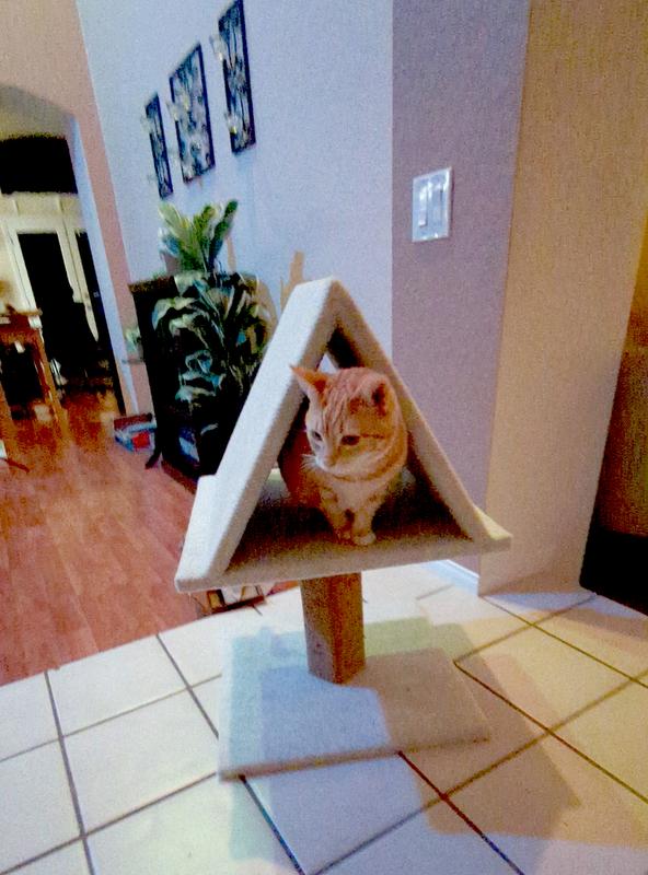 A perfect hiding spot!