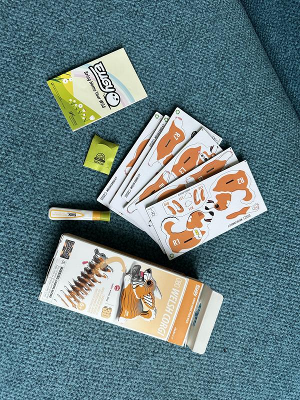 The contents inside the box.