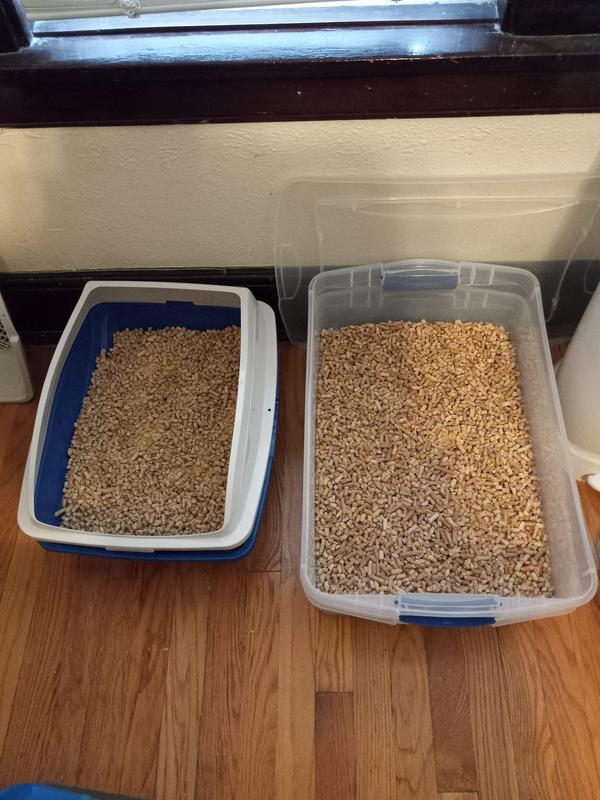 My litter box system
