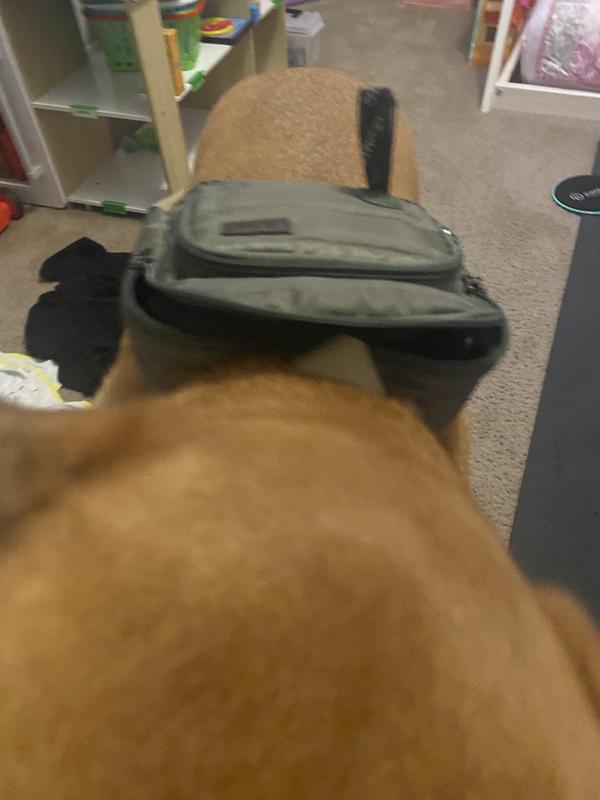 Good2go dog backpack best sale