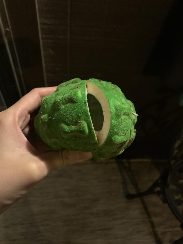 Photo - commentaire&nbsp;3.