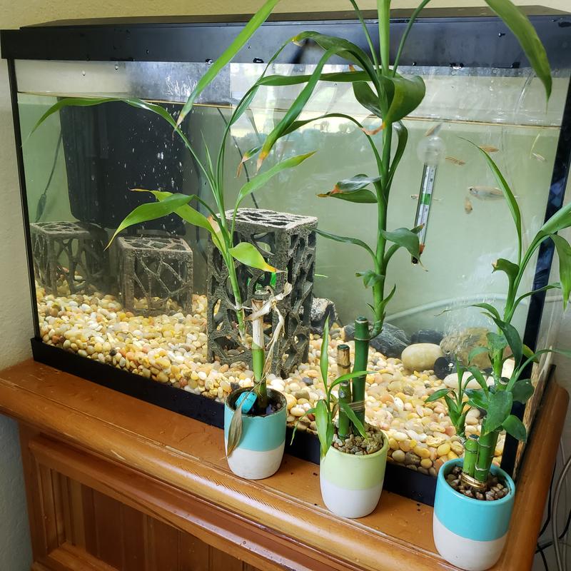 Imagitarium Media Mesh Filter Bag for Saltwater Aquariums