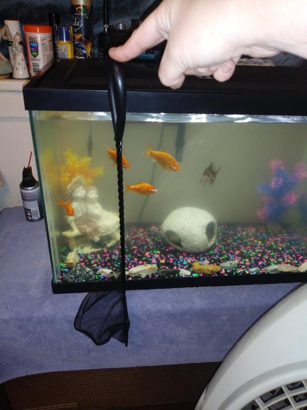 My new fish dipper :)
