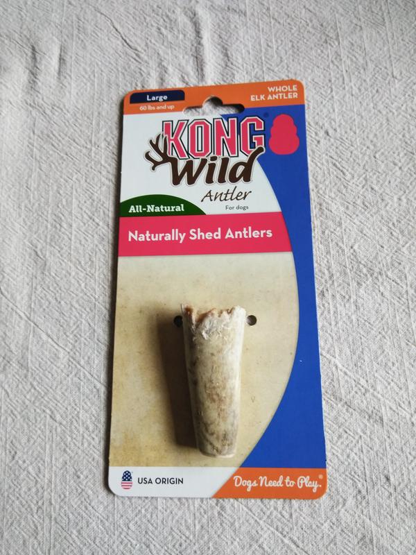 kong wild whole elk antler for dogs