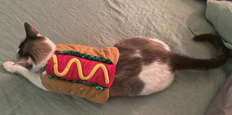 Photo - commentaire 5.