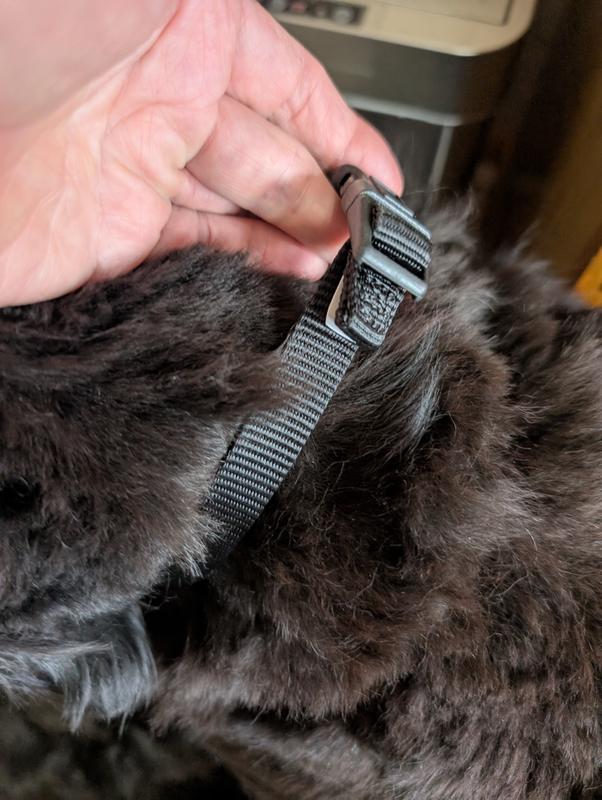 Connection behind head