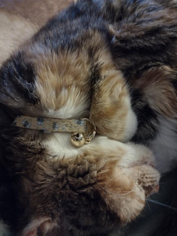 YOULY Yellow Bee Cat Collar